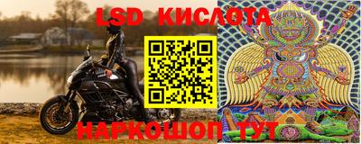 сатива Камышлов
