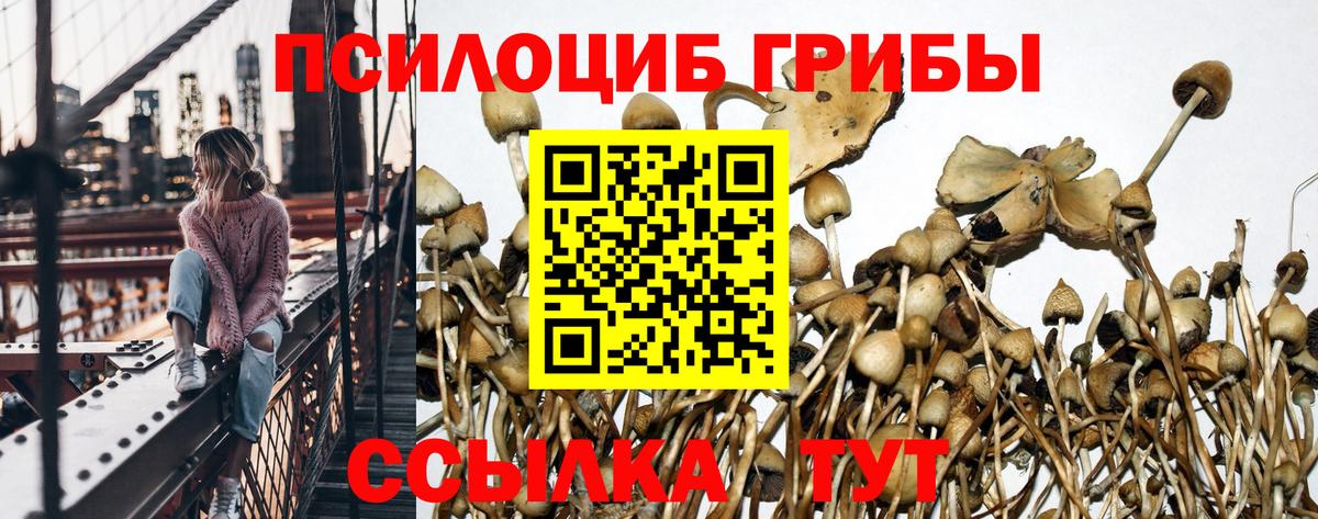 что такое наркотик  Псилоцибиновые грибы Magic Shrooms  Вход с VPN  Кыштым 